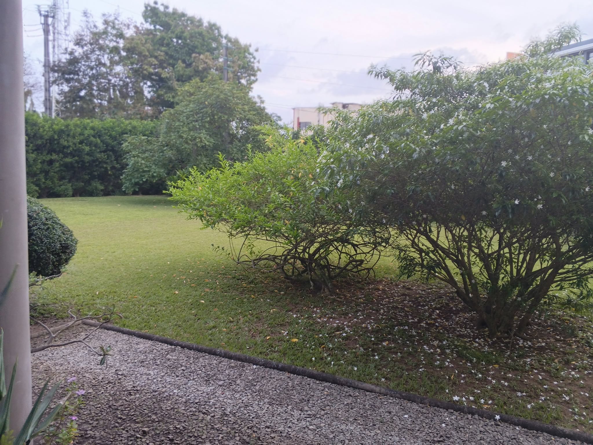 Duplex 7 pièces à louer – II Plateaux, Cocody - Image 4