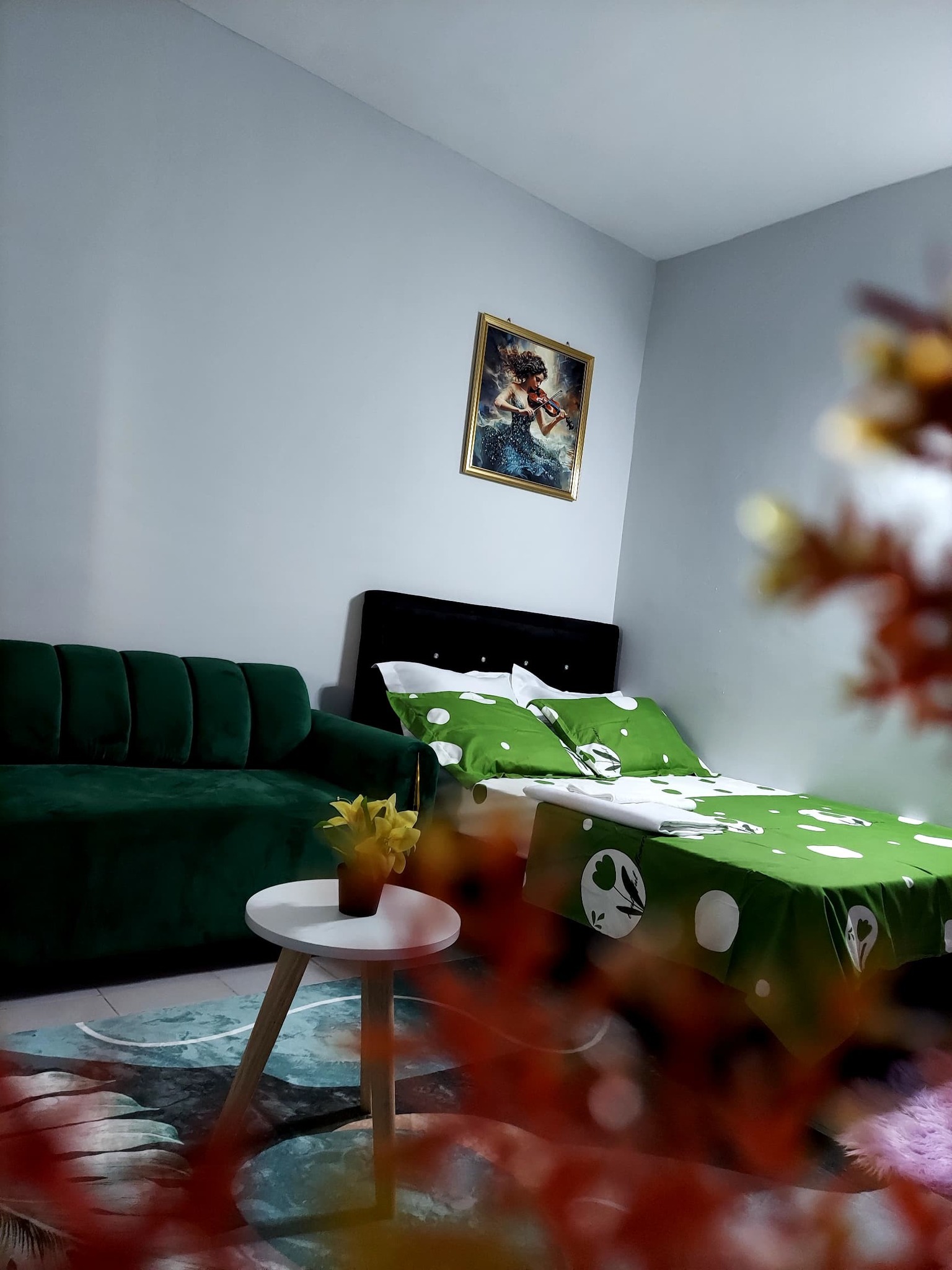 Résidence meublée studio